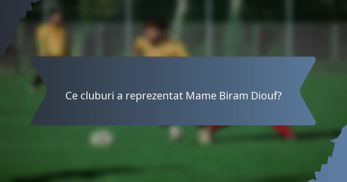 Ce cluburi a reprezentat Mame Biram Diouf?